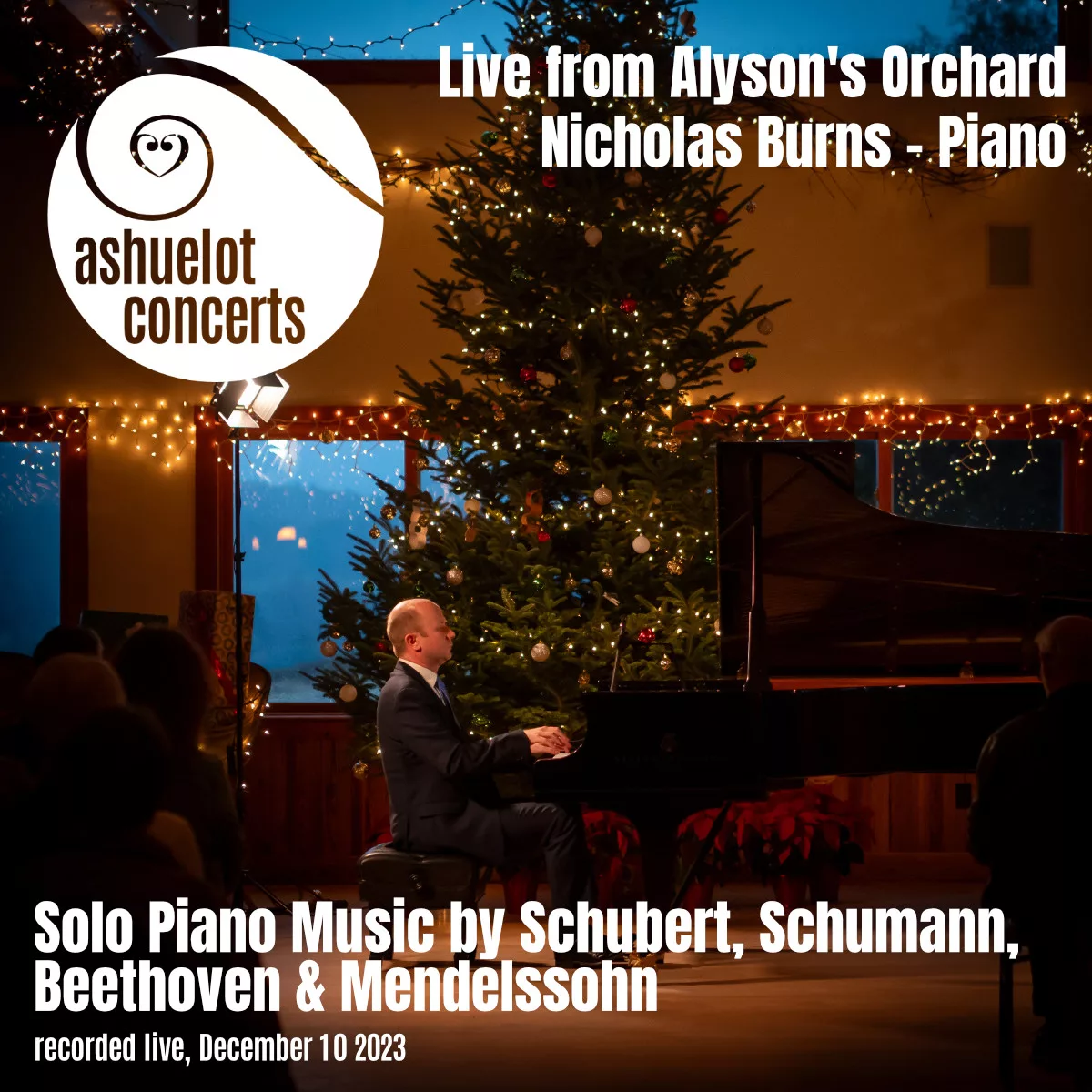A pianist performs on stage with a grand piano and Christmas tree, as an audience watches. Experience "Live Concert Recording: Schubert, Schumann, Beethoven & Mendelssohn, works for solo piano.