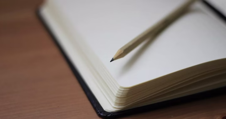The allure of the analogue