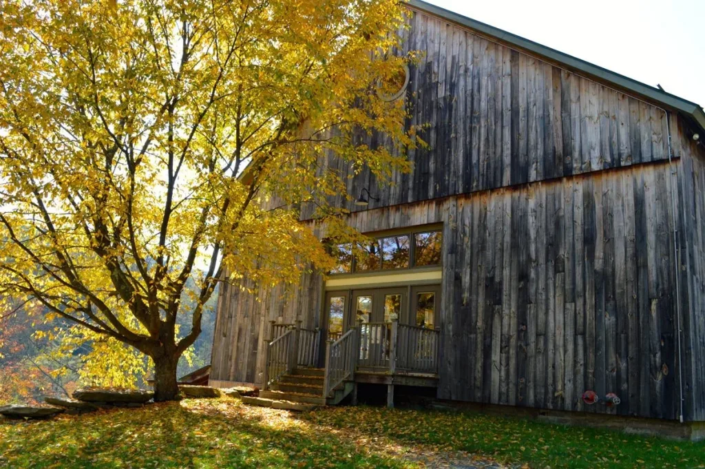 A large wooden barn is surrounded by autumn foliage. A tree with yellow leaves stands next to the barn, casting shadows on the weathered wood siding. Sunlight filters through the branches, and fallen leaves cover the ground.